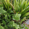 Artificial woodland greens window box foliage