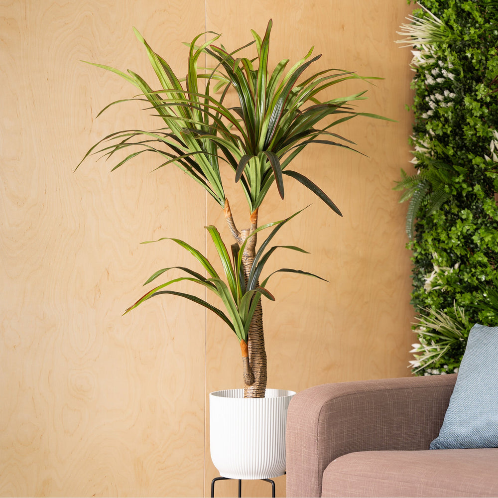 Potted plant next to a couch with a beige wall in the background