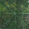 Green grid pattern on a textured green background