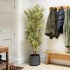 Entryway with coats hanging on a rack, a plant, and a wooden bench.