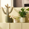 Three potted plants on a light-colored surface with a neutral background