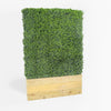Artificial green wall panel with wooden base on a white background
