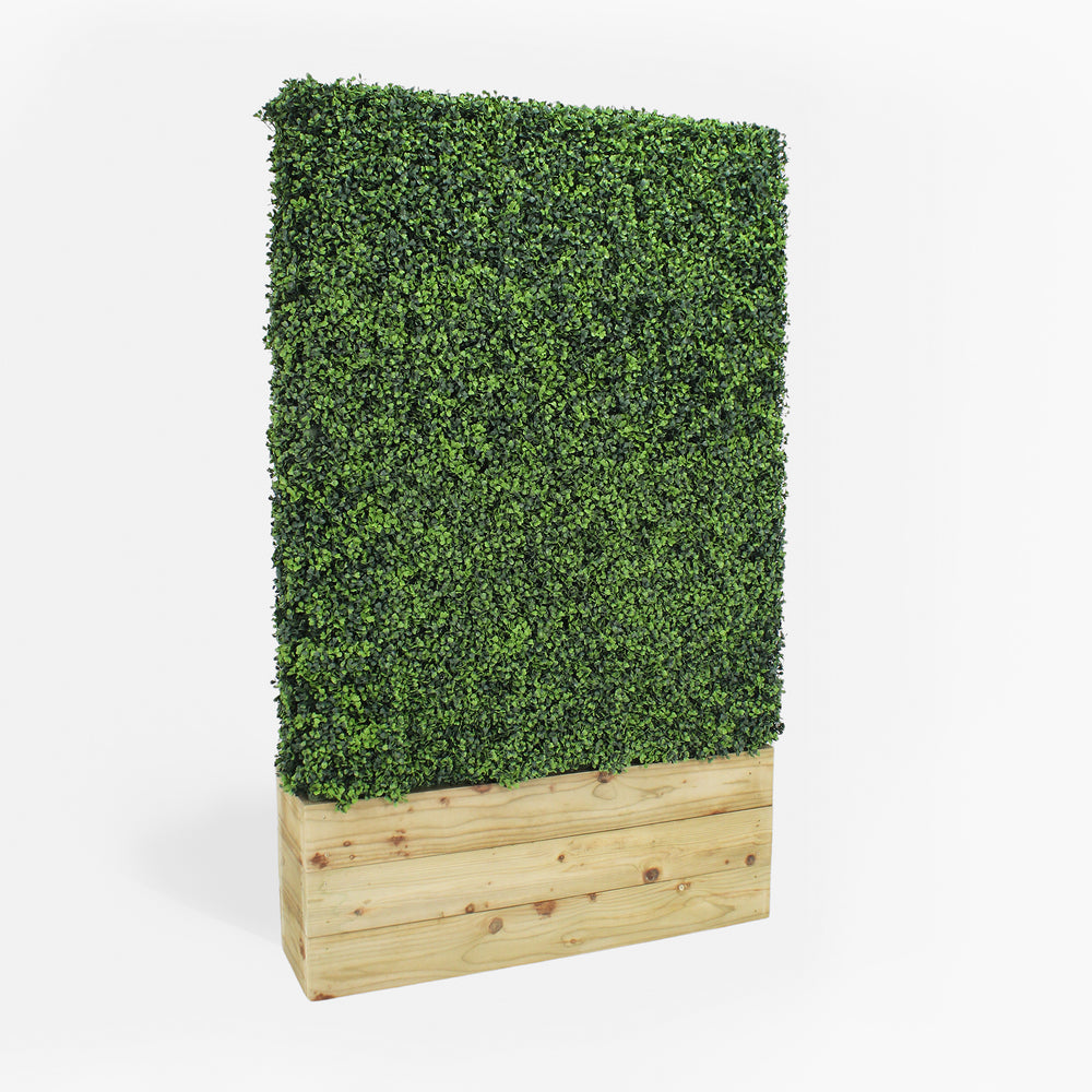 Artificial boxwood hedge in a wooden planter on a white background