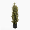 Potted artificial cypress tree on a white background
