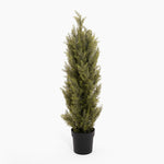 Potted artificial cypress tree on a white background