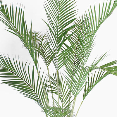 Artificial majesty palm foliage