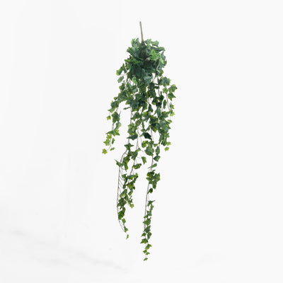 Artificial hanging ivy plant on a white background
