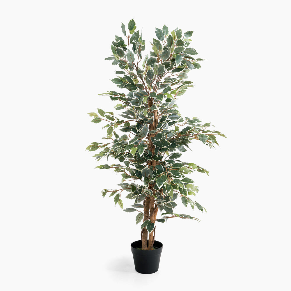 Artificial potted plant with green leaves on a white background