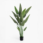 Artificial potted plant with green leaves on a white background