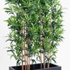 Oriental bamboo screening