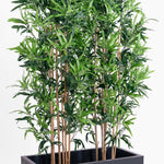 Oriental bamboo screening