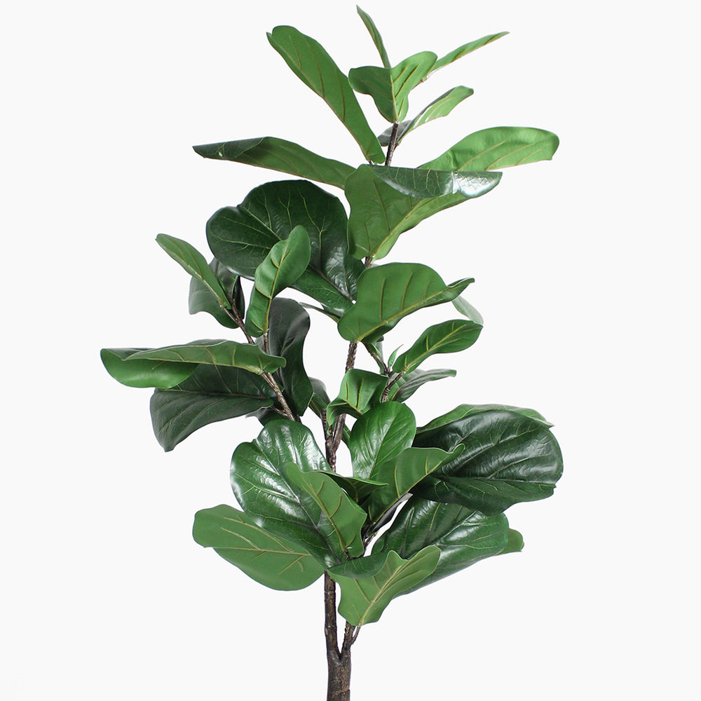 Artificial fiddle leaf fig plant on a white background