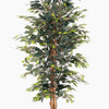 Artificial ficus tree with green leaves on a white background