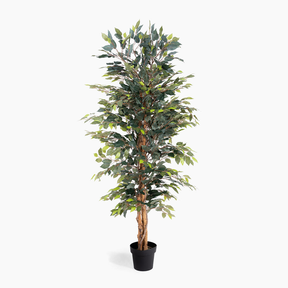 Artificial potted tree with green leaves on a white background