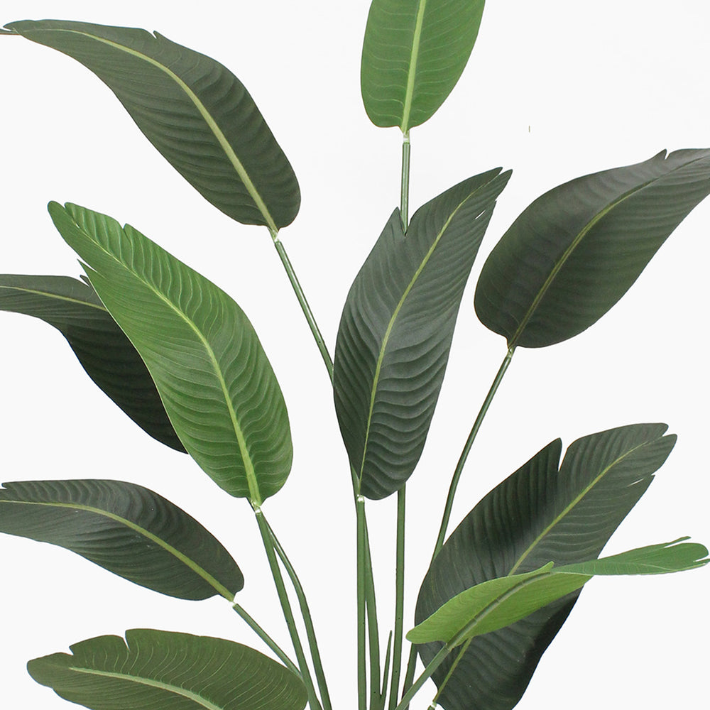 Artificial green strelitzia leaves on a white background
