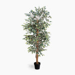 Artificial potted tree with green leaves on a white background