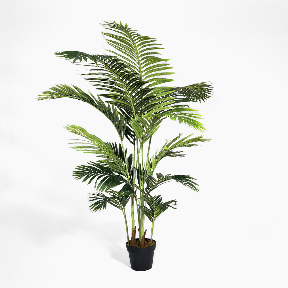 Potted artificial palm plant on a white background