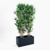 Potted plant with green leaves and brown stems in a black rectangular planter on a white background