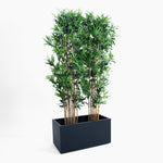 Potted plant with green leaves and brown stems in a black rectangular planter on a white background