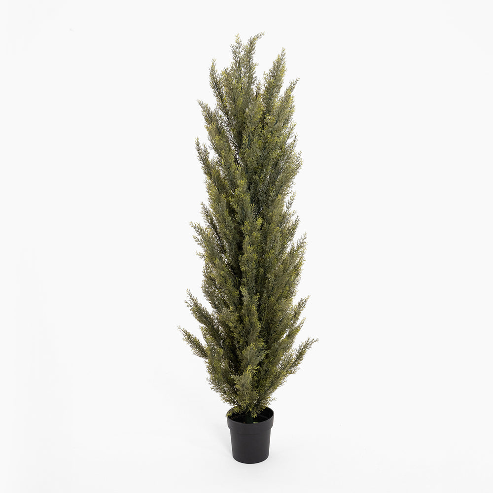 Artificial potted plant on a white background