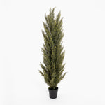 Artificial potted plant on a white background