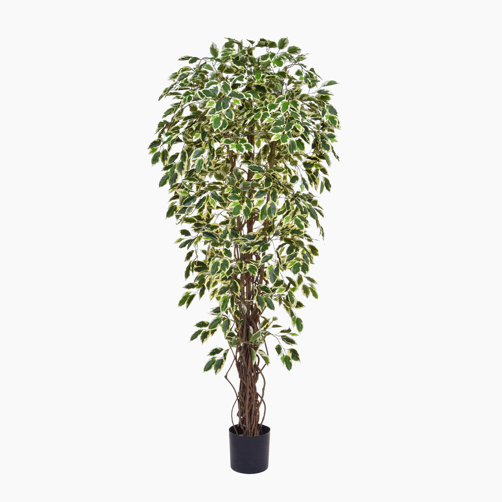 Artificial potted plant with green leaves on a white background