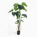 Artificial monstera plant in a pot on a white background