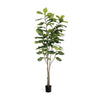 Artificial fiddle leaf fig tree on a white background