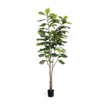 Artificial fiddle leaf fig tree on a white background