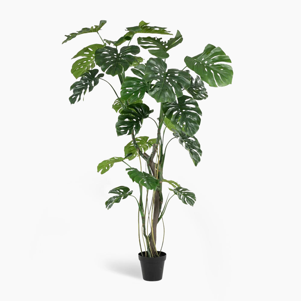 Artificial monstera plant in a pot on a white background