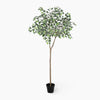 Artificial potted tree with green leaves on a white background