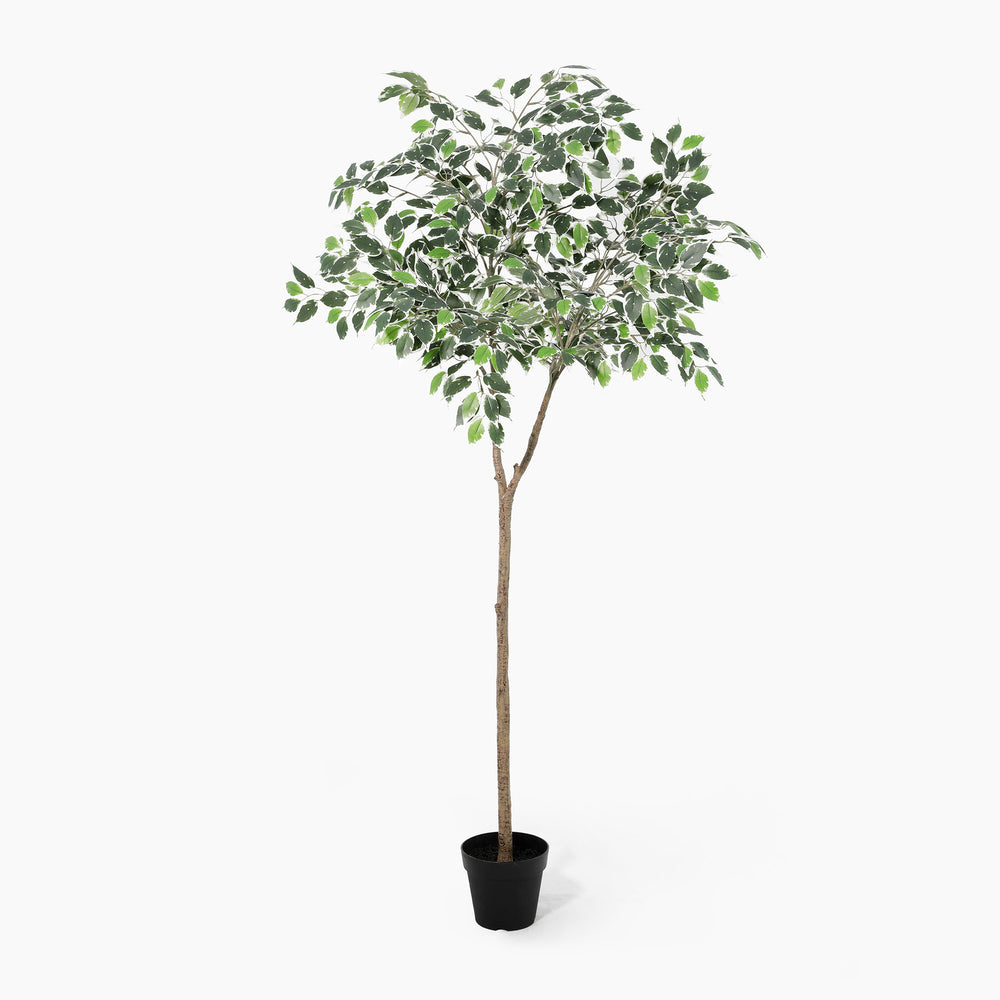 Artificial potted tree with green leaves on a white background