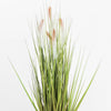 Artificial foxtail grass foliage
