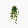 Artificial hanging ivy plant on a white background