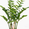 Artificial 70cm zz plant foliage