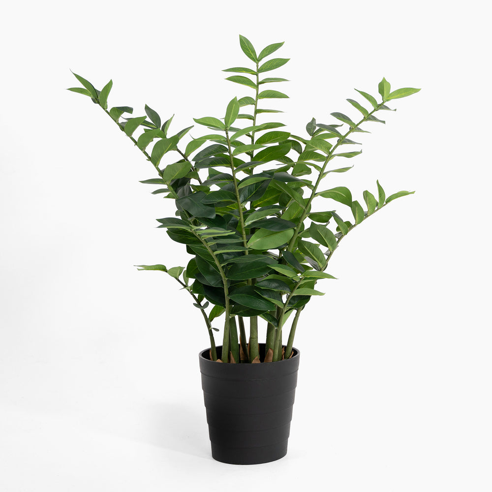 Artificial 90cm zz plant foliage