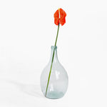 Clear glass vase with a single orange flower on a white background