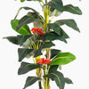 Artificial plant with green leaves and red flowers on a white background