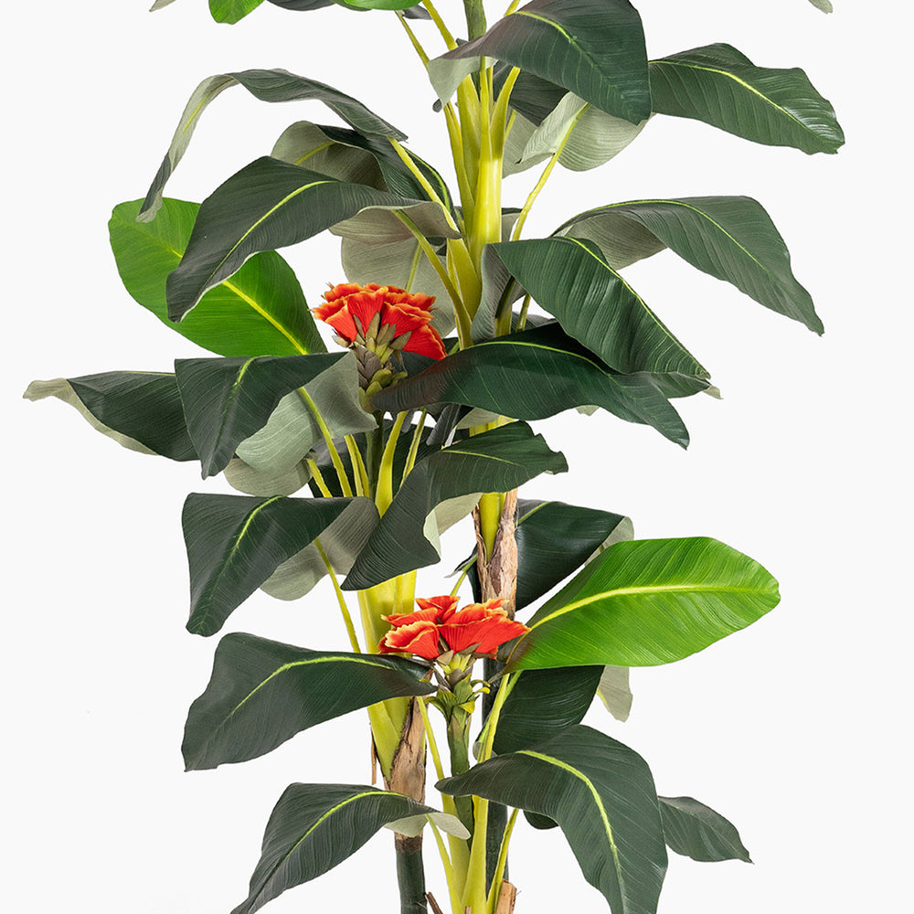Artificial plant with green leaves and red flowers on a white background