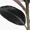 Artificial black rubber tree leaf