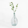 Clear glass vase with greenery on a white background