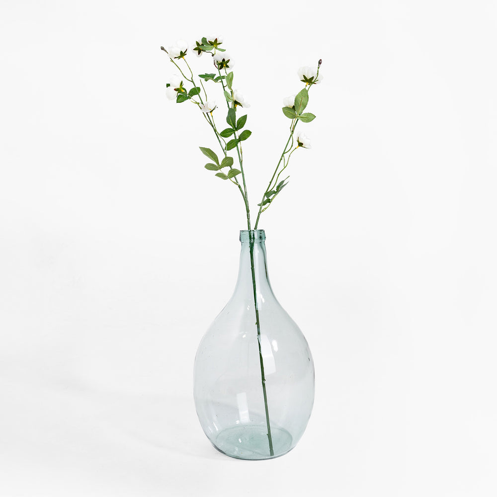 Clear glass vase with greenery on a white background