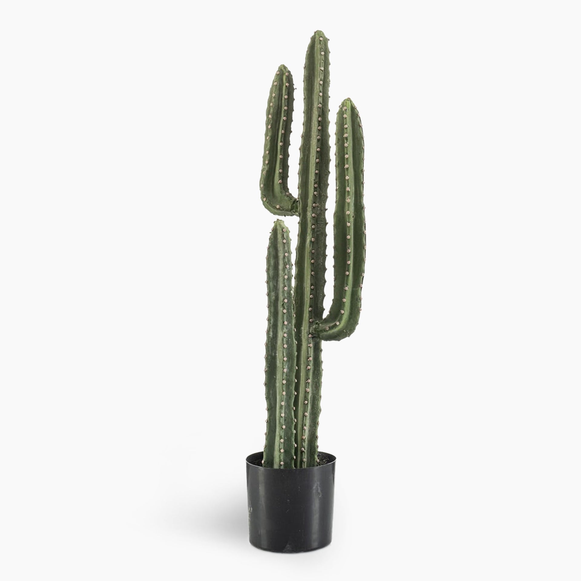 Artificial Canary Splurge Cactus - Blooming Artificial