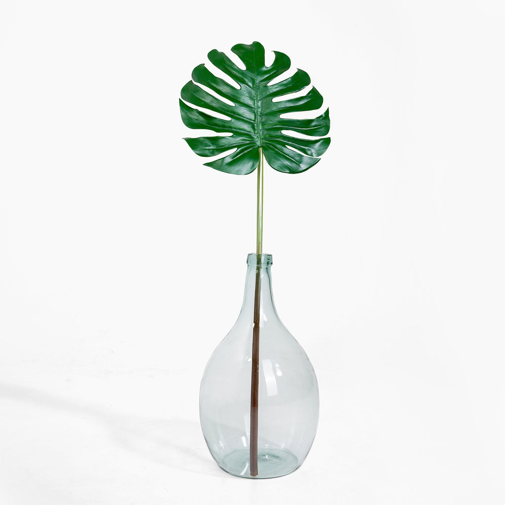 Clear glass vase with a single green leaf on a white background