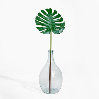 Clear glass vase with a single green leaf on a white background