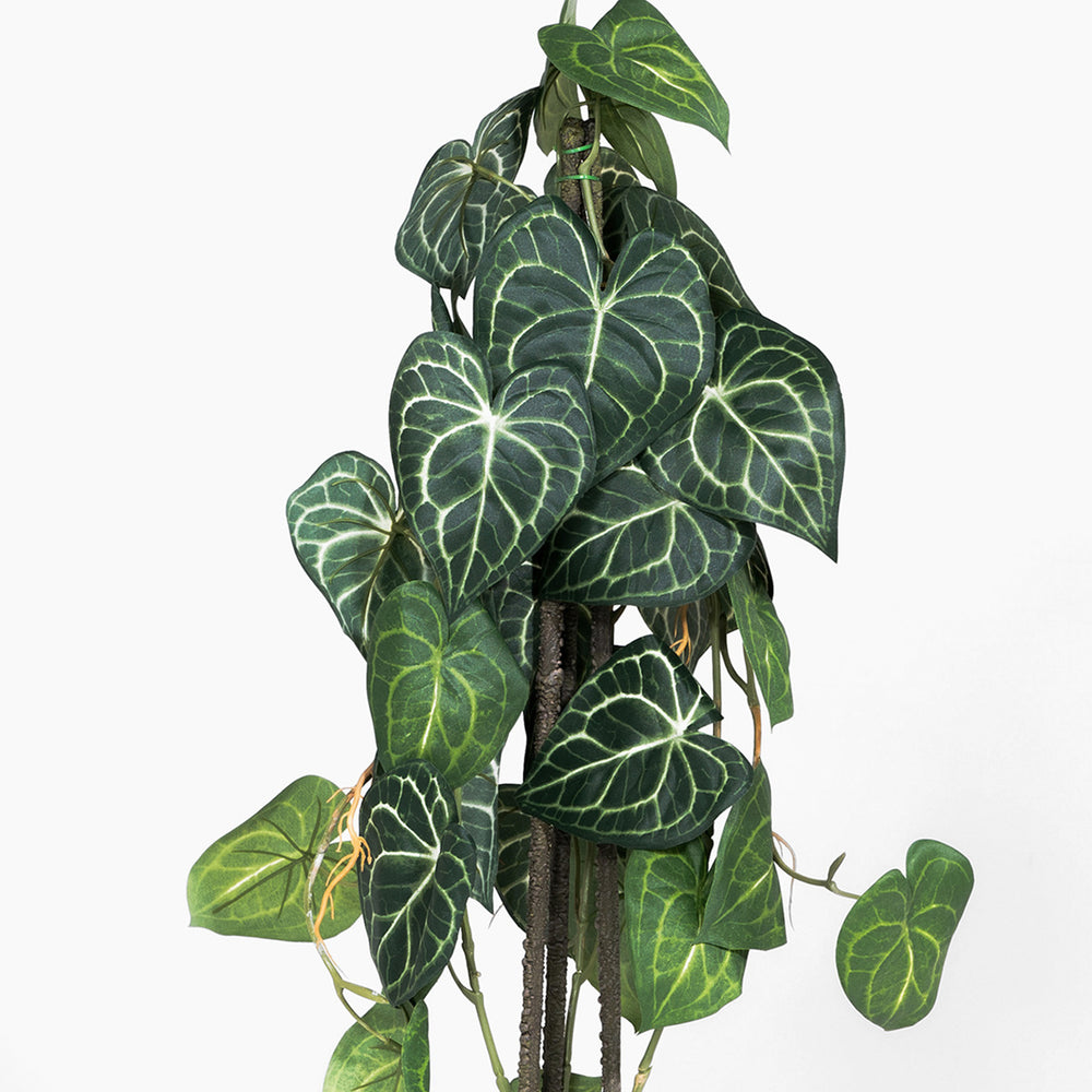 Artificial green leafy plant on a white background