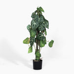 Artificial potted plant with green leaves on a white background