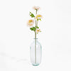 Clear glass vase with a single stem of flowers on a white background