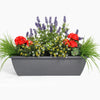 Gray rectangular planter with a variety of colorful flowers on a white background