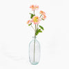 Clear glass vase with pink flowers on a white background